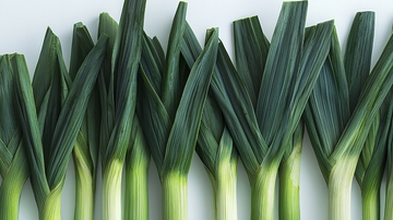 新鲜青蒜叶排成一列