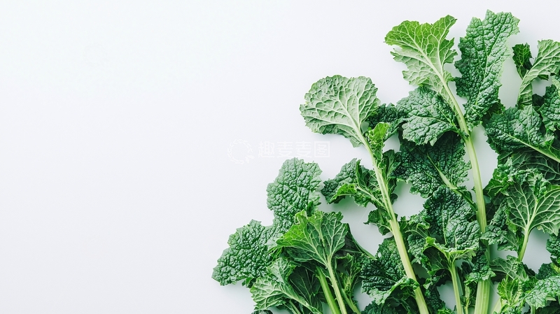 高清大图下载【趣麦麦图】绿色植物9