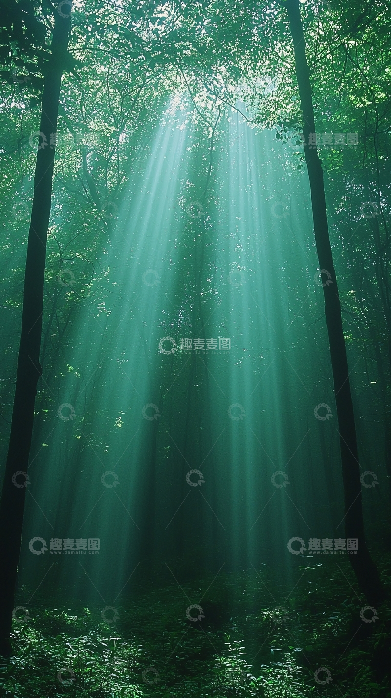 高清大图下载【趣麦麦图】森林光线