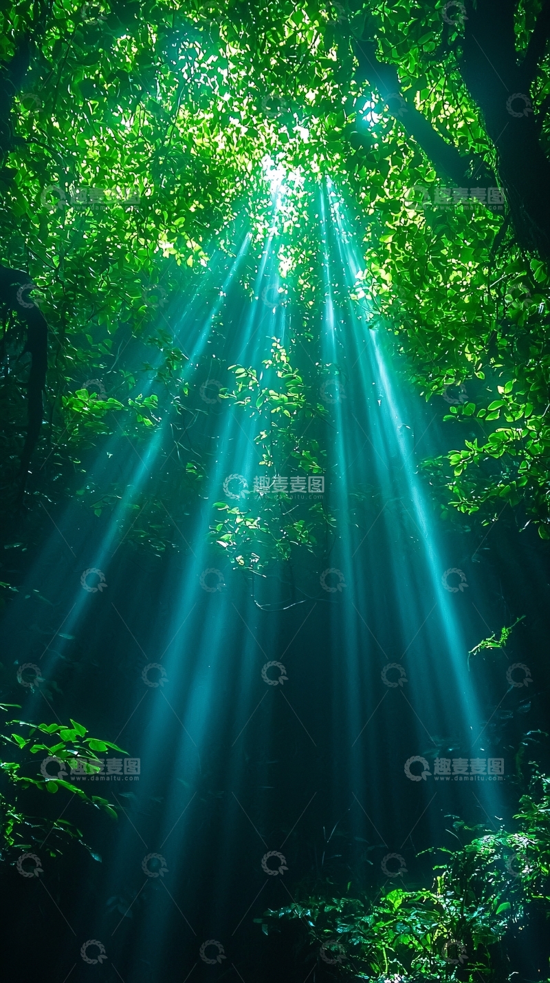 高清大图下载【趣麦麦图】森林光线
