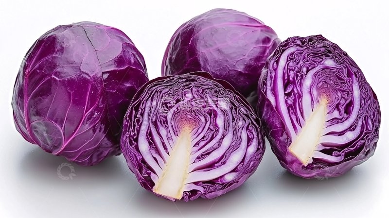 高清大图下载【趣麦麦图】紫甘蓝