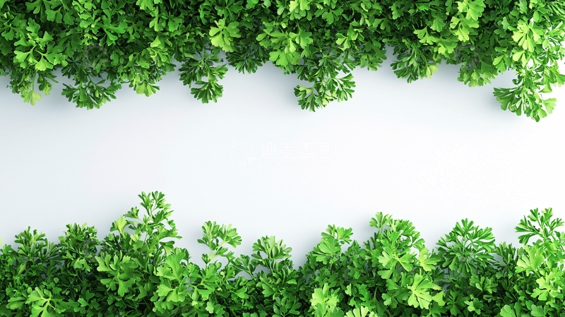 高清大图下载【趣麦麦图】绿叶植物边框