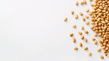 白底散落芝麻种子