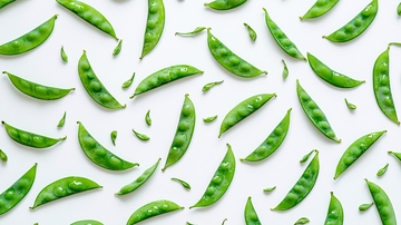 新鲜豌豆荚摆拍图