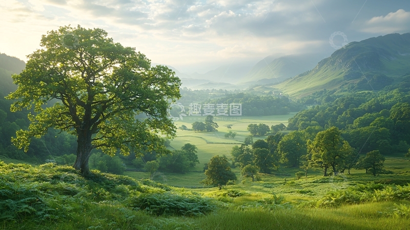 高清大图下载【趣麦麦图】清晨阳光下的绿色山谷