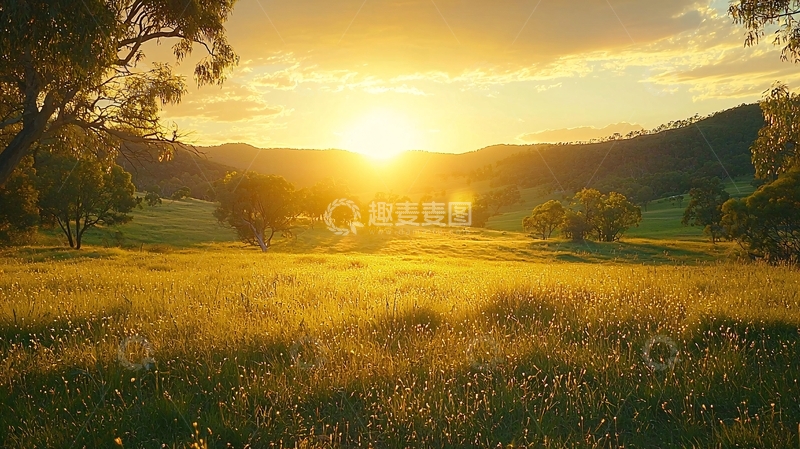 高清大图下载【趣麦麦图】金色的田野日落