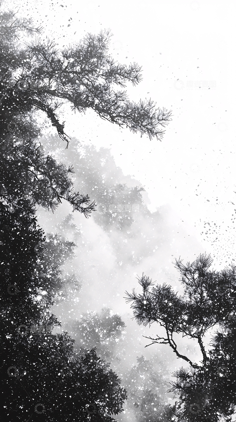 高清大图下载【趣麦麦图】黑白森林雪景