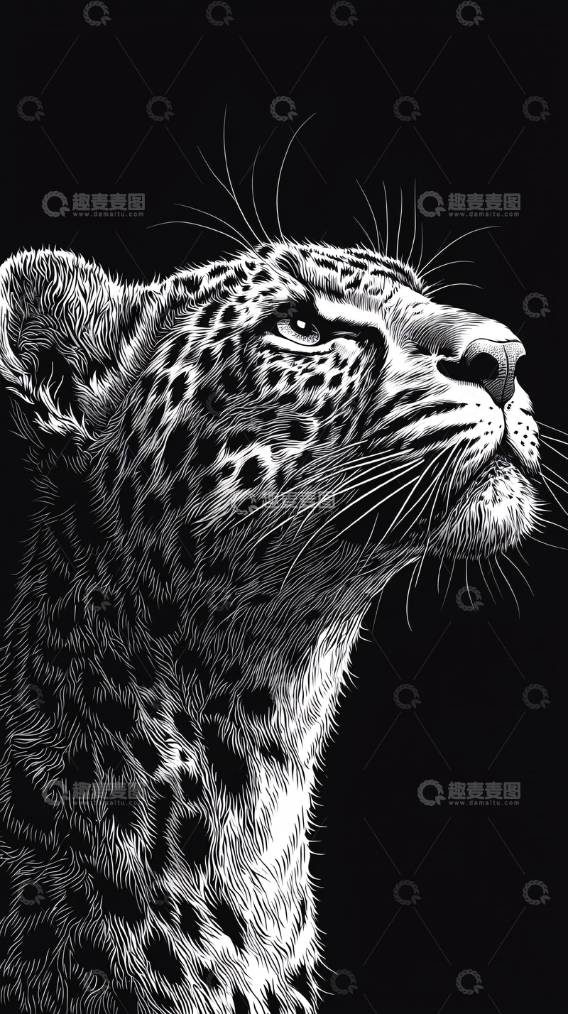 高清大图下载【趣麦麦图】黑白豹子头像