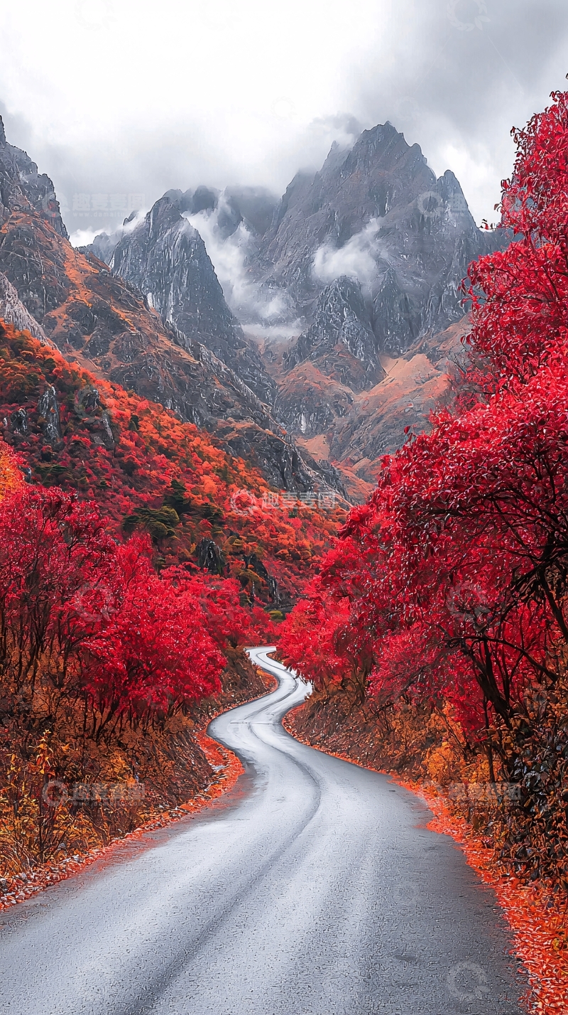 高清大图下载【趣麦麦图】秋日山路红叶