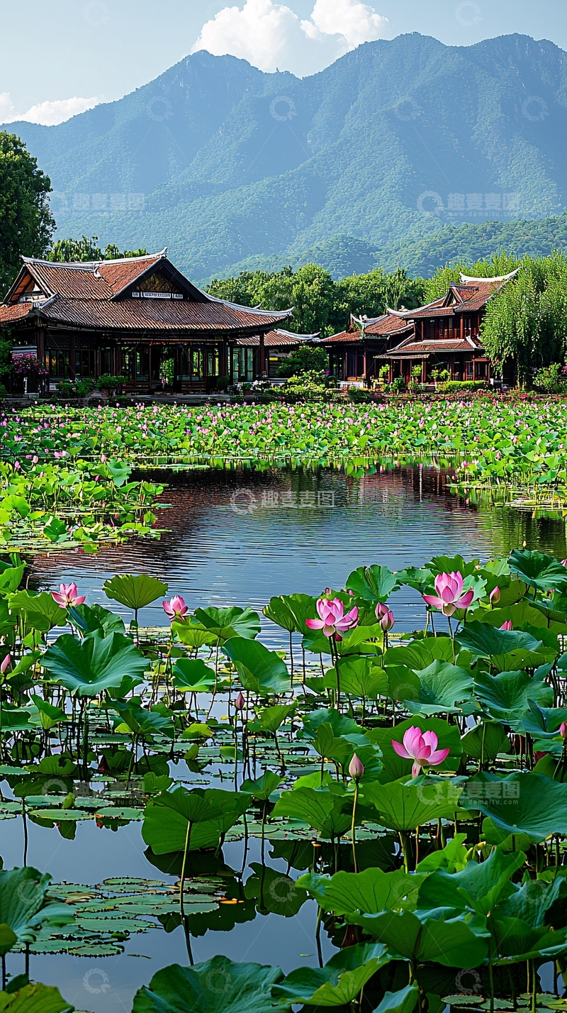 高清大图下载【趣麦麦图】山间古建荷花池塘