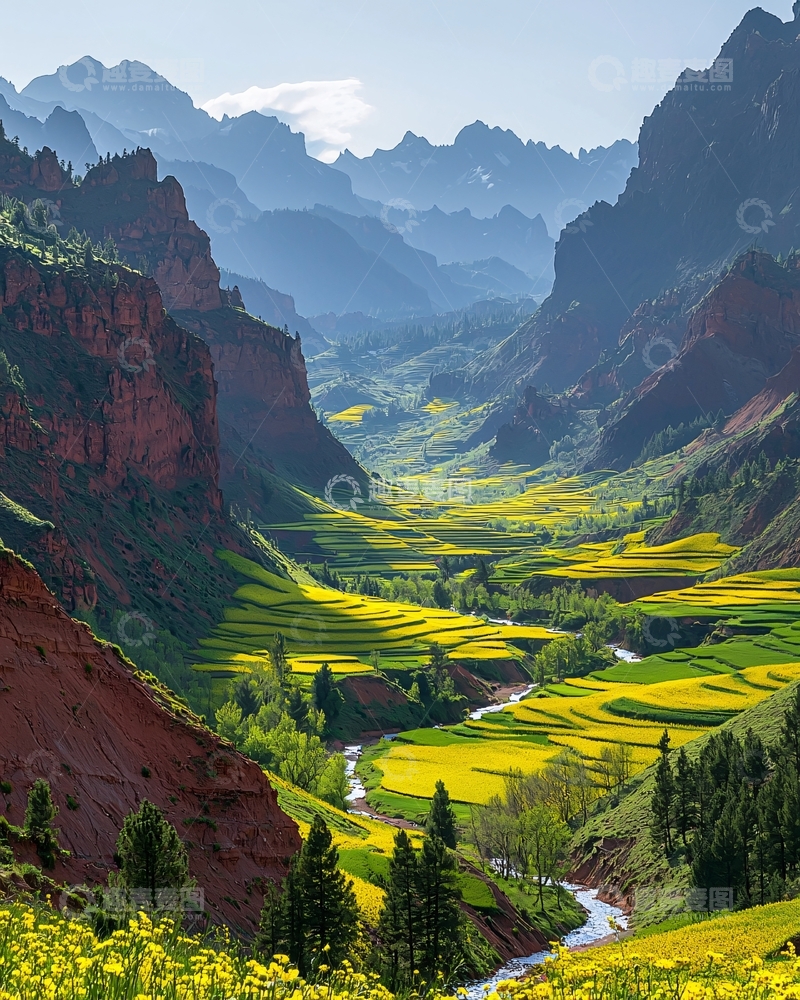 高清大图下载【趣麦麦图】壮丽山谷油菜花田