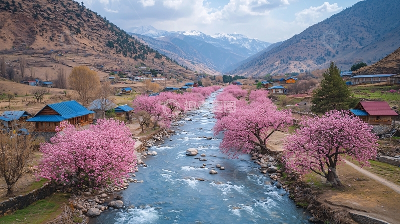 高清大图下载【趣麦麦图】山谷河流粉色杏花