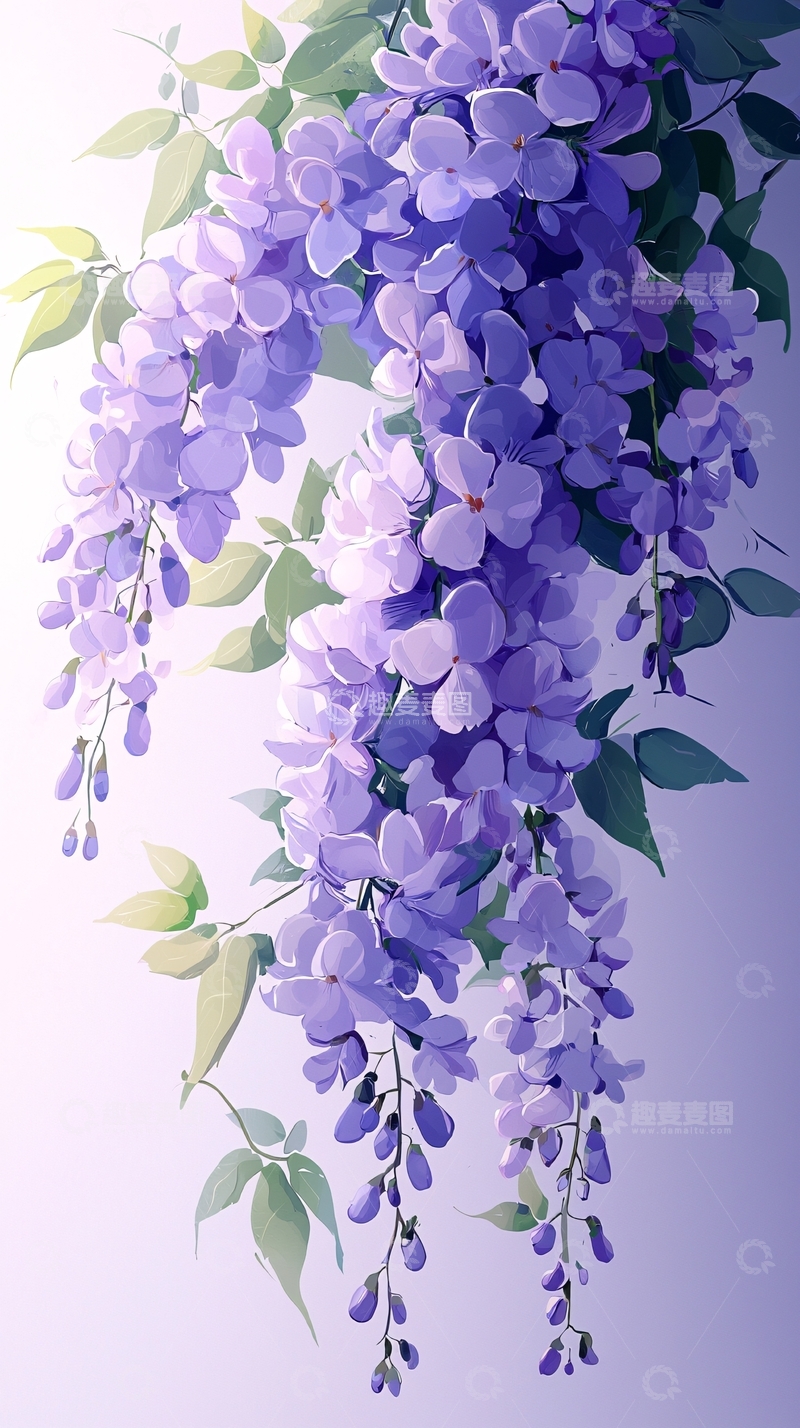 高清大图下载【趣麦麦图】紫色浪漫藤萝花