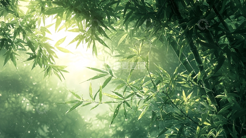 高清大图下载【趣麦麦图】阳光透过竹林