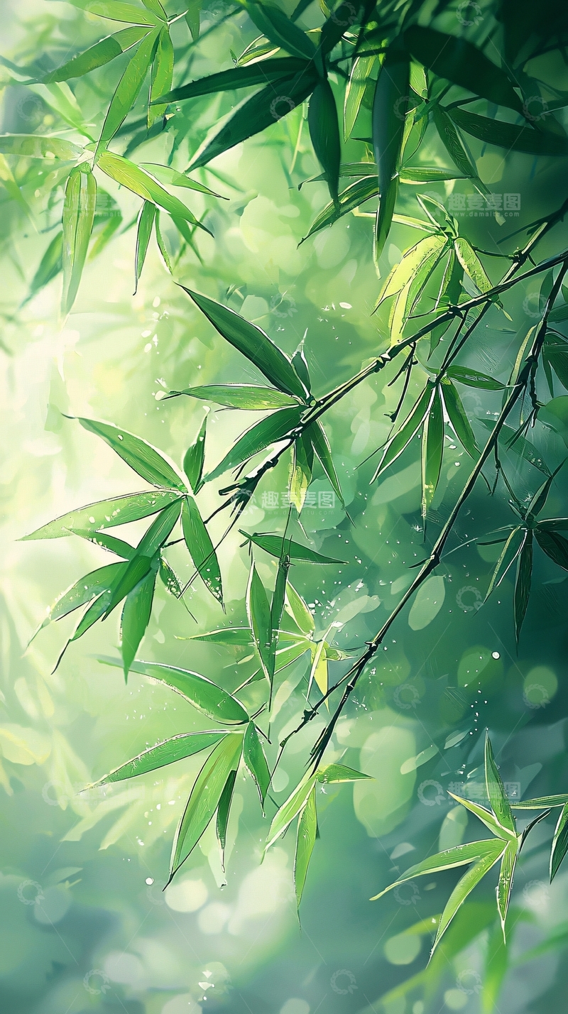 高清大图下载【趣麦麦图】阳光透过竹林