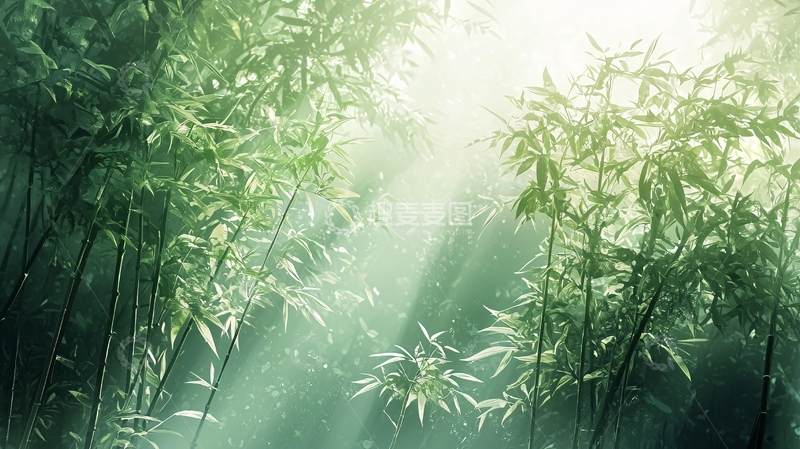 高清大图下载【趣麦麦图】阳光透过竹林