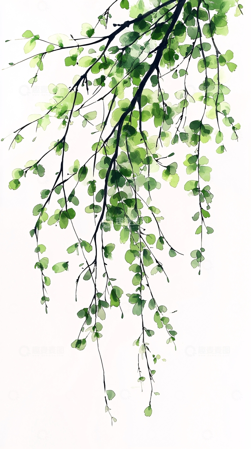 高清大图下载【趣麦麦图】水墨画树枝