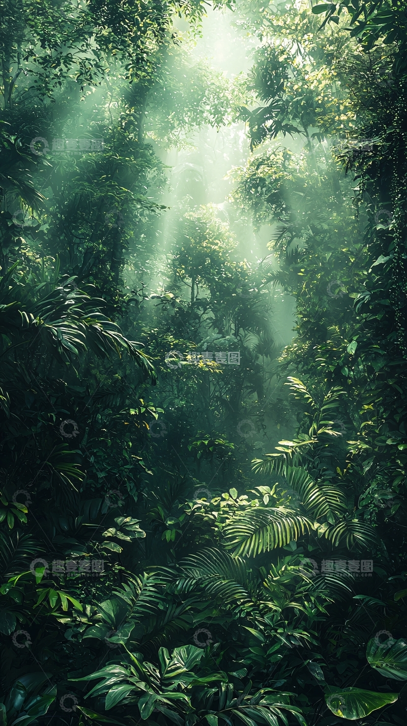 高清大图下载【趣麦麦图】阳光透过雨林树冠