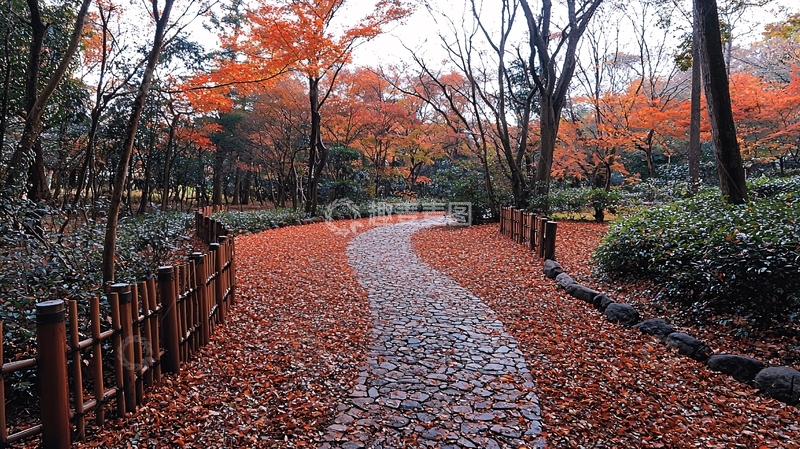 高清大图下载【趣麦麦图】秋日枫叶小路