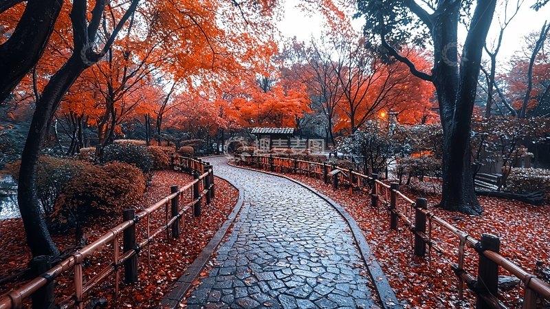 高清大图下载【趣麦麦图】秋日枫叶小路