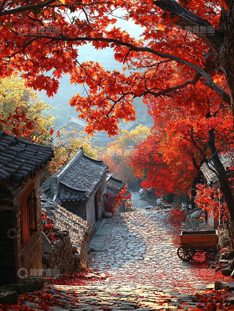 高清大图下载【趣麦麦图】秋日红叶山村小路