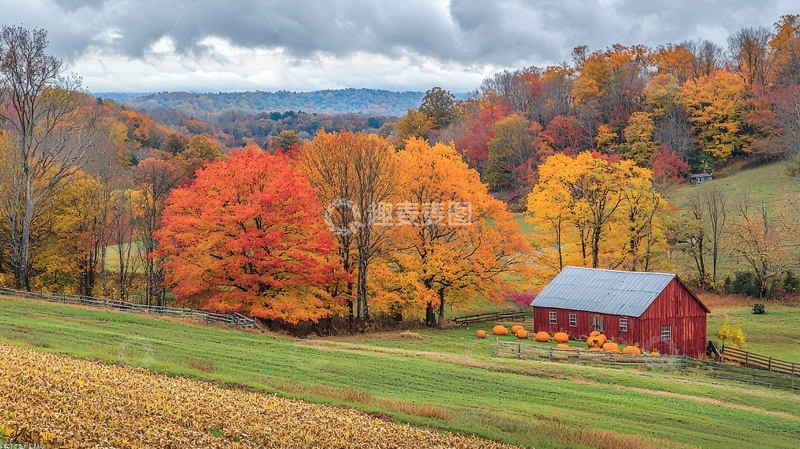 高清大图下载【趣麦麦图】秋日红叶山间农舍