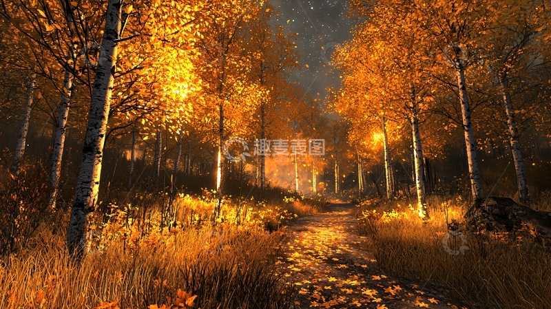 高清大图下载【趣麦麦图】秋日金色树林小路