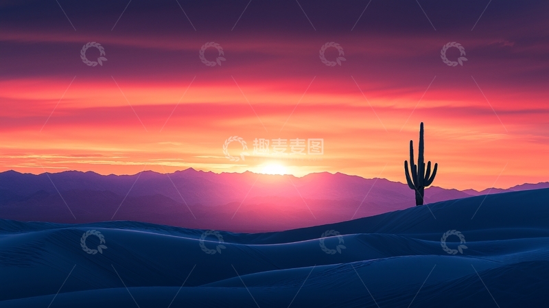 高清大图下载【趣麦麦图】沙漠日落仙人掌剪影