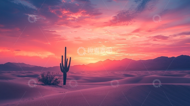 高清大图下载【趣麦麦图】沙漠日落仙人掌