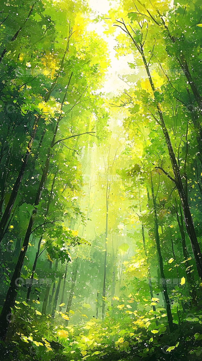 高清大图下载【趣麦麦图】阳光透过树林