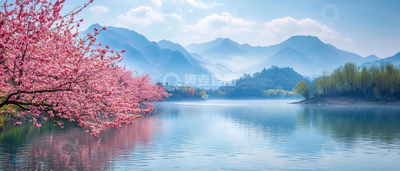 高清大图下载【趣麦麦图】粉红色的樱花树