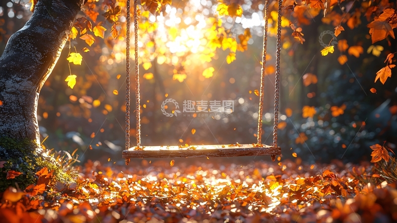 高清大图下载【趣麦麦图】秋日阳光下的树荫秋千