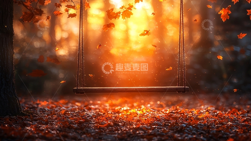 高清大图下载【趣麦麦图】秋日阳光下的树林秋千