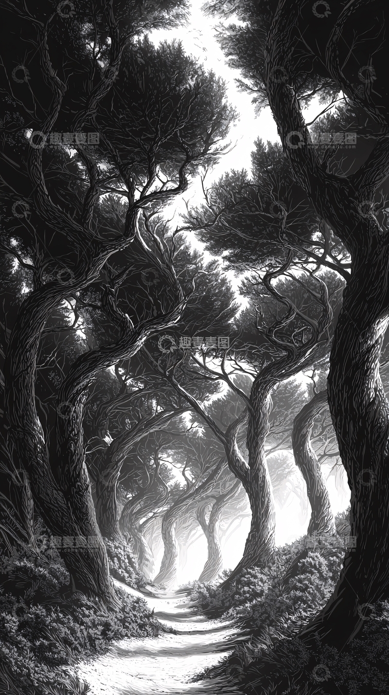 高清大图下载【趣麦麦图】黑白森林小路