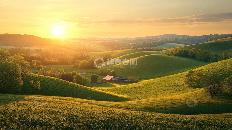高清大图下载【趣麦麦图】金色阳光下的绿色田野
