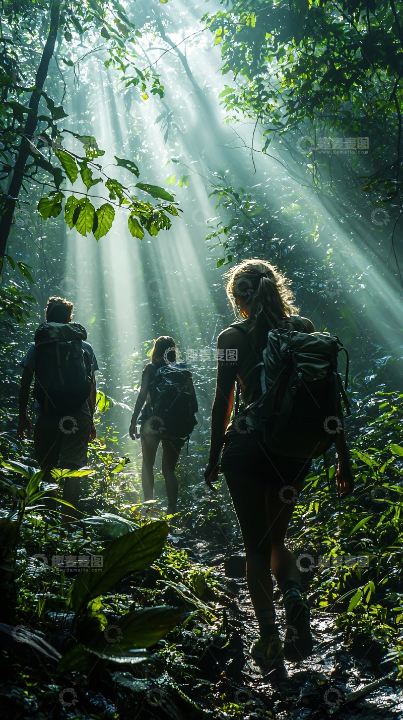 高清大图下载【趣麦麦图】阳光森林徒步旅行