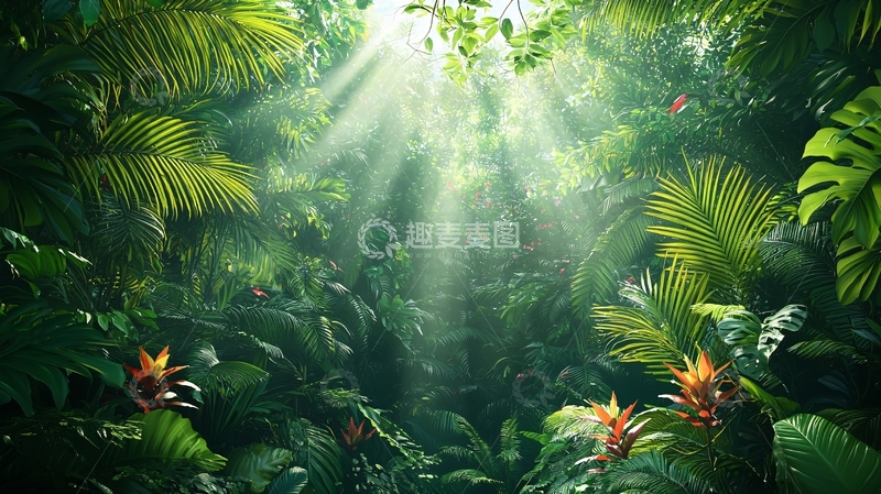 高清大图下载【趣麦麦图】热带雨林阳光透过树叶