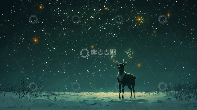 高清大图下载【趣麦麦图】星空下雪地里一只鹿