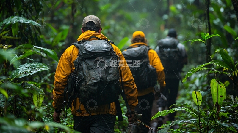 高清大图下载【趣麦麦图】雨林探险队