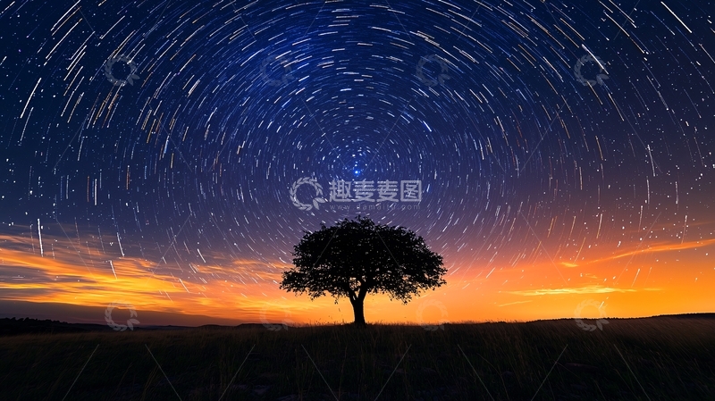 高清大图下载【趣麦麦图】星空树
