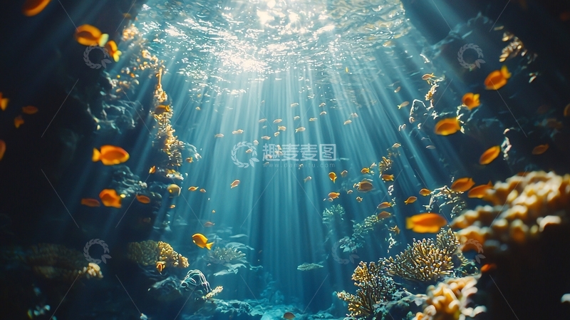 高清大图下载【趣麦麦图】深海珊瑚礁鱼群阳光
