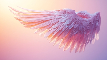 唯美粉色天使翅膀