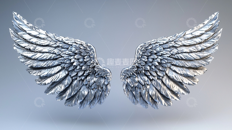 高清大图下载【趣麦麦图】银色天使翅膀