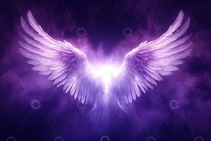 高清大图下载【趣麦麦图】紫色天使翅膀