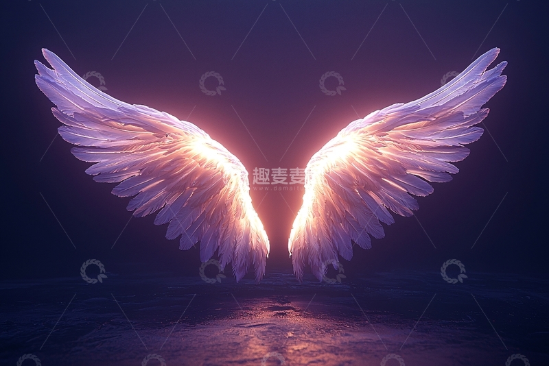 高清大图下载【趣麦麦图】光之羽翼