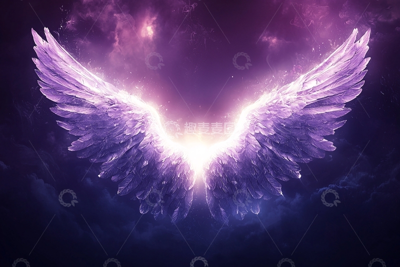 高清大图下载【趣麦麦图】紫色发光翅膀