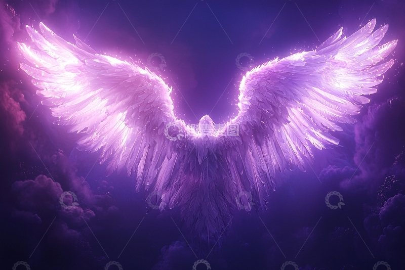 高清大图下载【趣麦麦图】光之羽翼