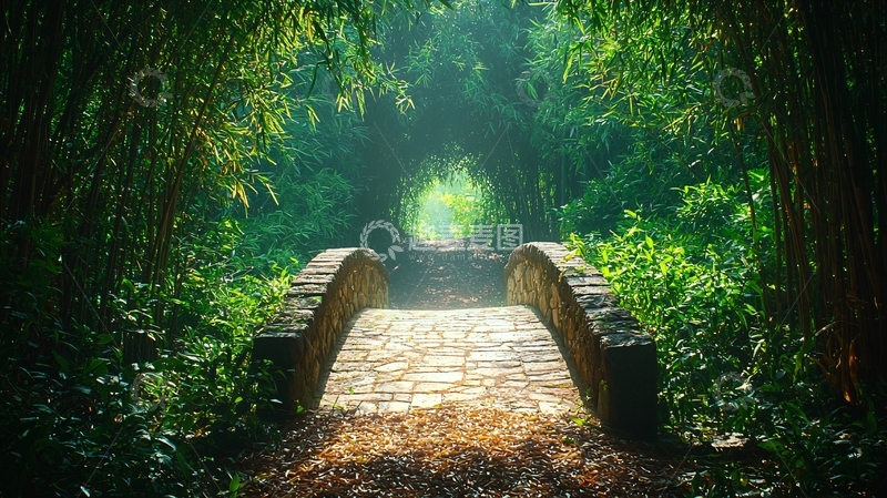 高清大图下载【趣麦麦图】绿树成荫下的石桥