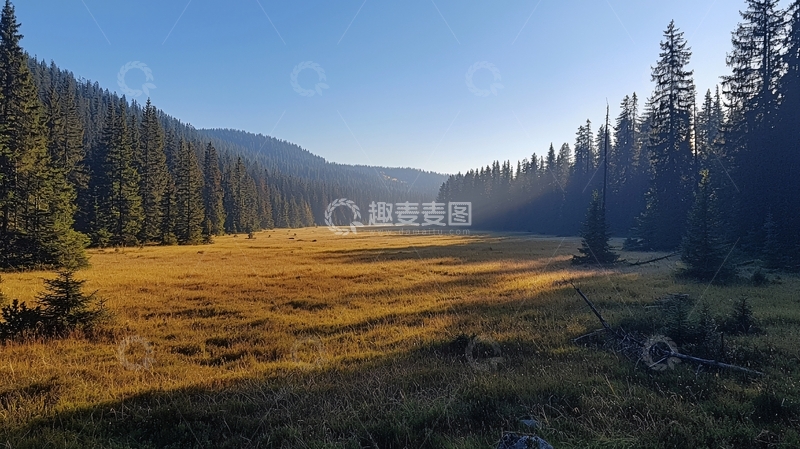 高清大图下载【趣麦麦图】秋日森林草原