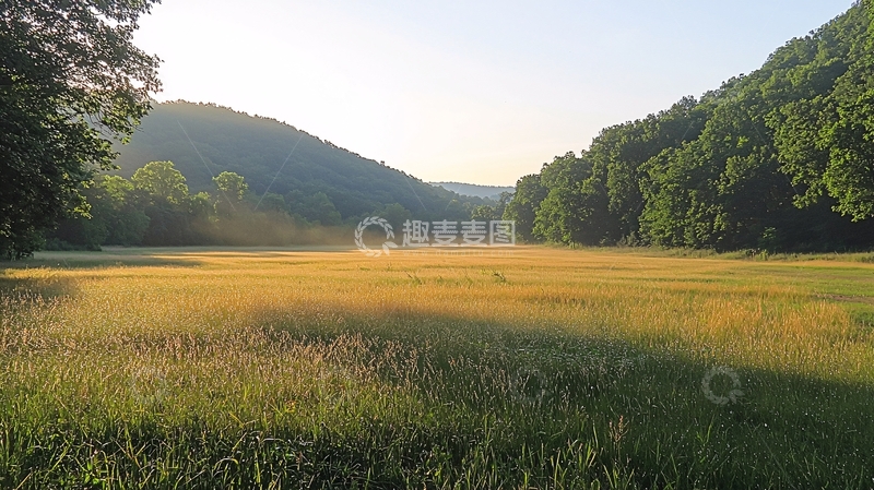 高清大图下载【趣麦麦图】清晨阳光下的广阔草地